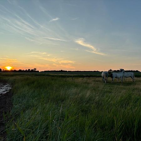 Nedlagt Gard I Naturen Med Ro Og Fred Og Samtidig Taet Pa Strand Og Fiskeri Og Indkobsmuligheder Nordborg Esterno foto