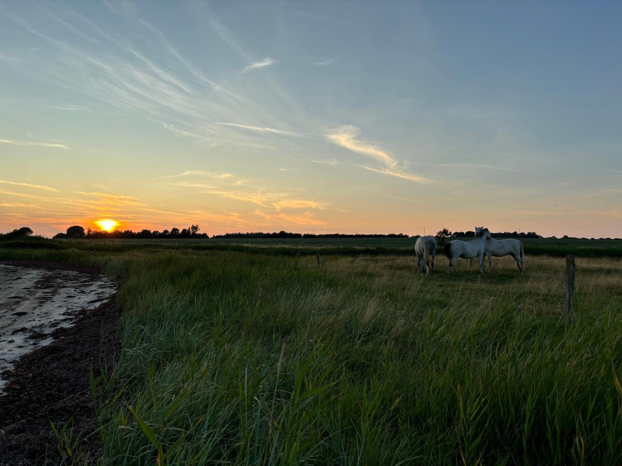Nedlagt Gard I Naturen Med Ro Og Fred Og Samtidig Taet Pa Strand Og Fiskeri Og Indkobsmuligheder Nordborg Esterno foto